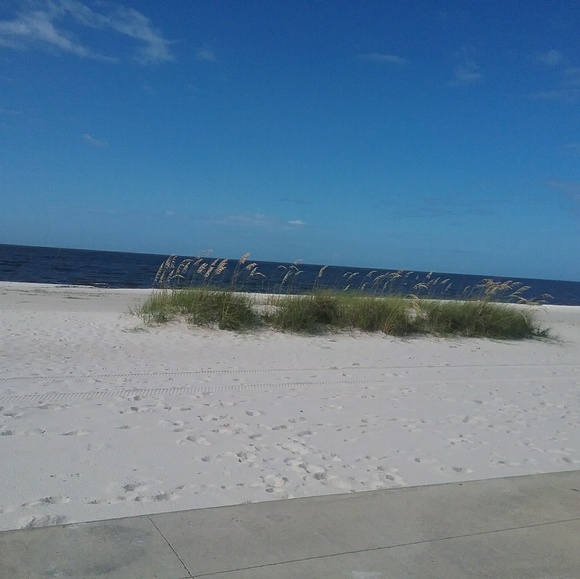 Meet your Posher, Carol - Picture 1 of 1